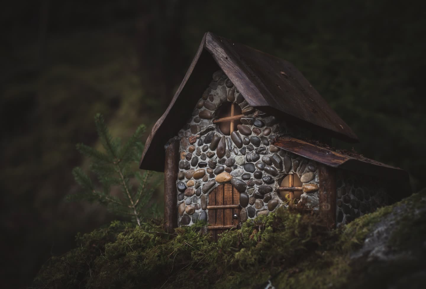 Fuglehus av rullestein på mose i en mørk skog